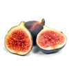 Fig