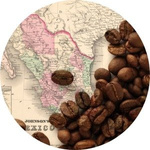 Coffee Arabica `Mexico Maragogype Barranca Honda`