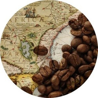 Coffee Arabica `Kenya AA Plus Superstar`